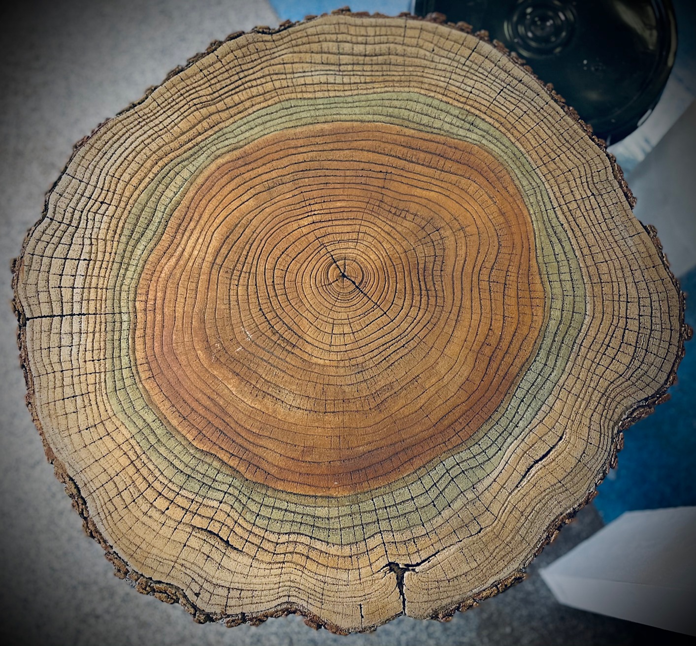 2' Log Table-Top Mold - Image 5