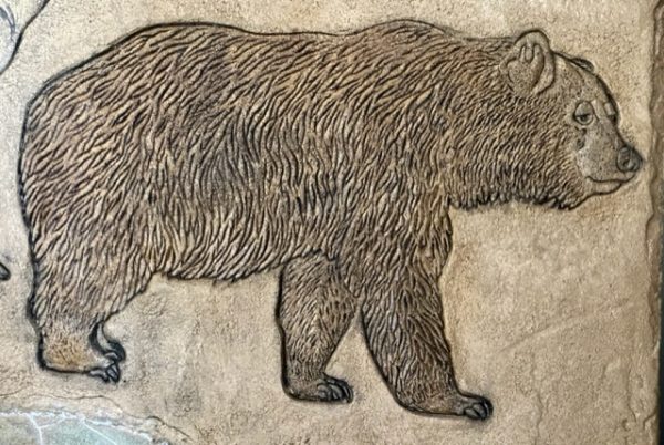 PRO - Bear - Image 2
