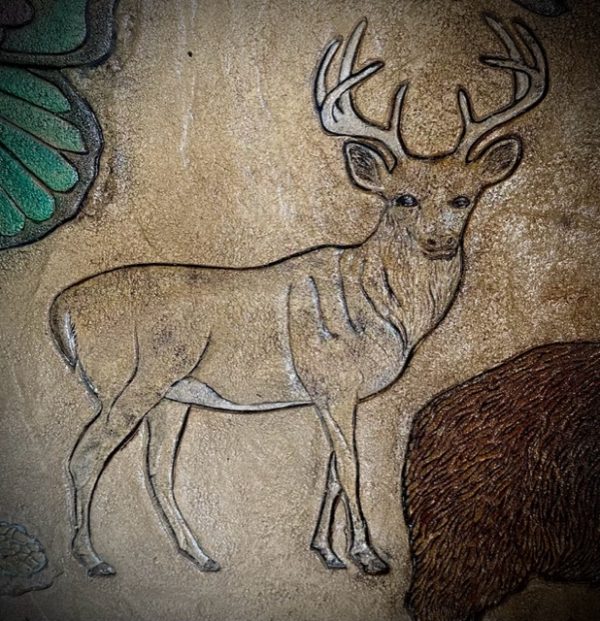 PRO - Deer - Image 2
