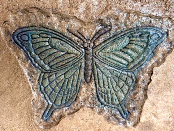 PRO - Butterfly small - Image 2