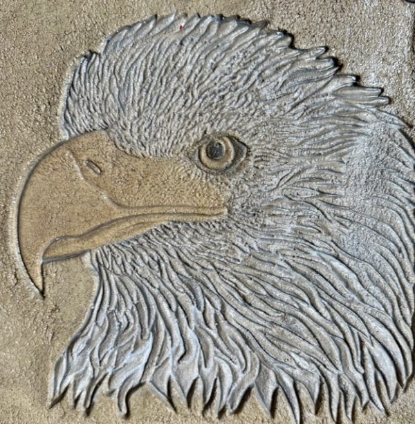 PRO - Eagle Head - Image 2