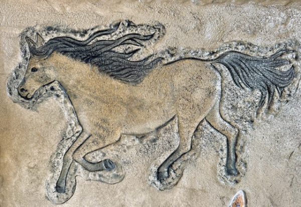 PRO - Horse - Image 2