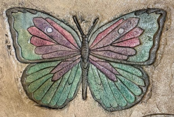 PRO - Butterfly Large - Image 2