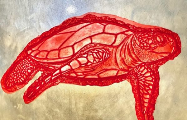 PRO - Sea Turtle side view - Image 3