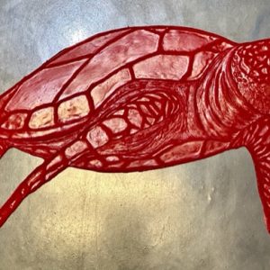 PRO - Sea Turtle side view