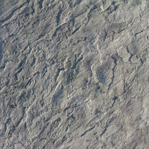 Proline Bluestone Seamless Stamps