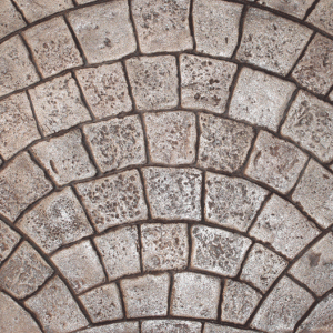 Proline European Fan Small Stone