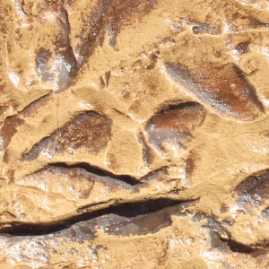 Proline Edge Liners - Bull Nose, Flat & Hammered Edge